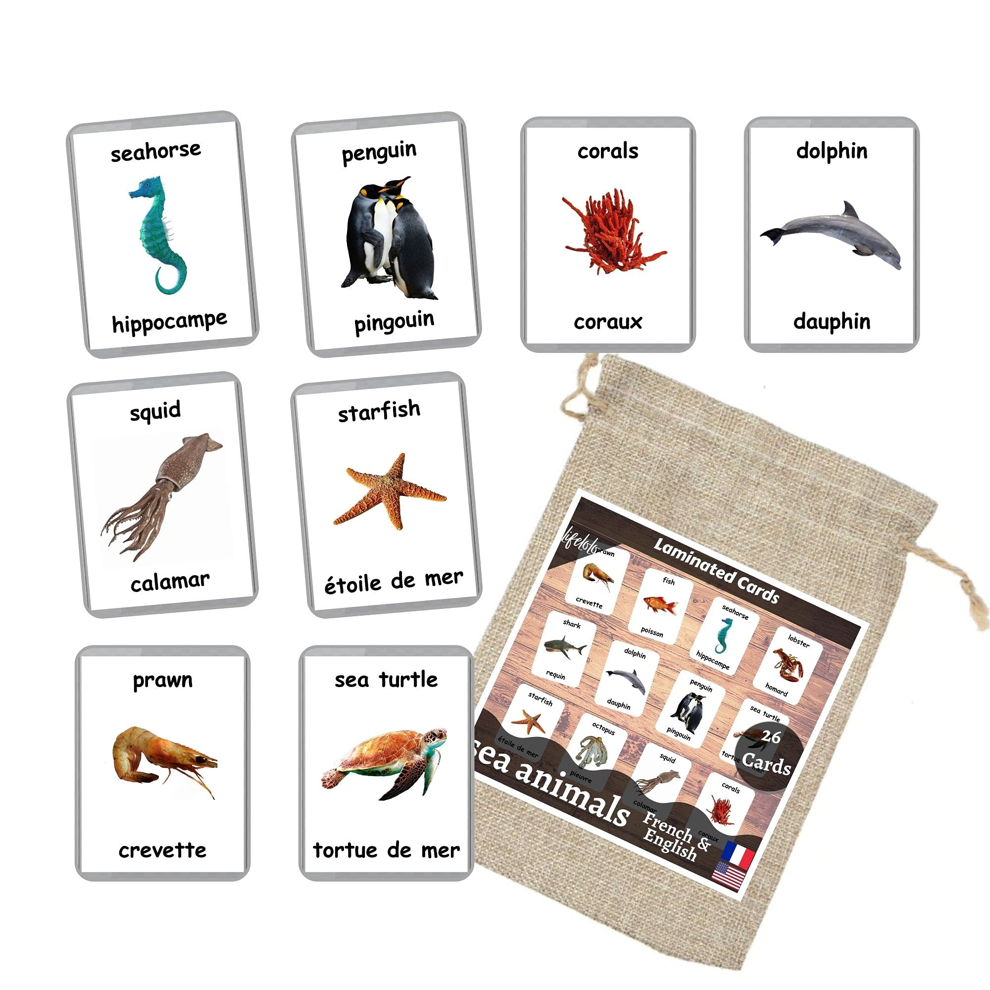 26 Laminated Sea Animals Flash Cards - Ocean & Water Animal Educational Learning Cards for Homeschool, Preschool & Bilingual Teaching (English/French) - Perfect for Classroom Activities & Language Development