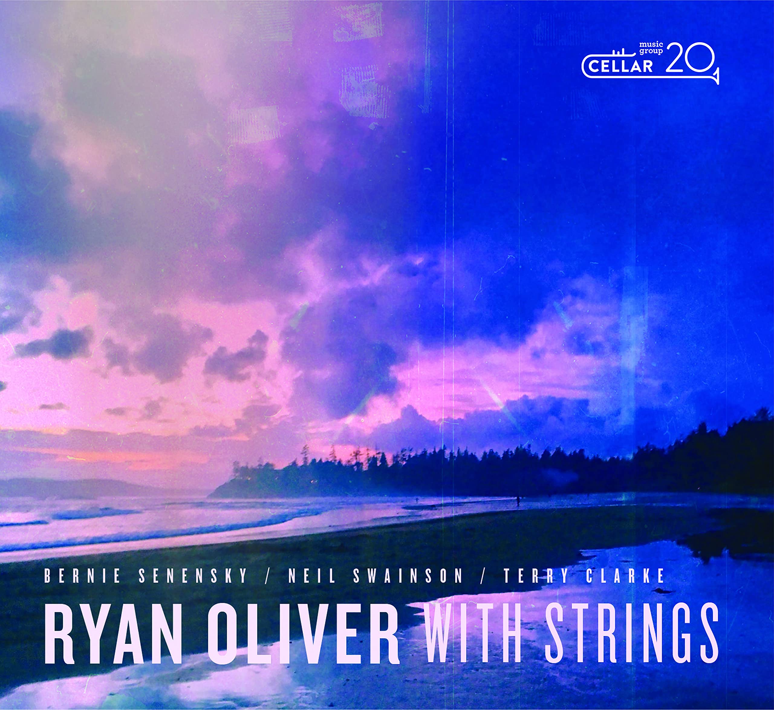 Guitar Strings - Premium Acoustic & Electric Guitar Strings for Professional Musicians & Beginners - Perfect for Live Performances, Studio Recording & Practice Sessions
