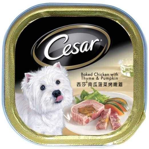 Premium Cesar Baked Chicken with Thyme & Pumpkin Pate Tray Dog Food - 100g | Grain-Free Wet Dog Food for Small & Medium Breeds | Perfect for Mealtime, Training Rewards & Senior Dogs