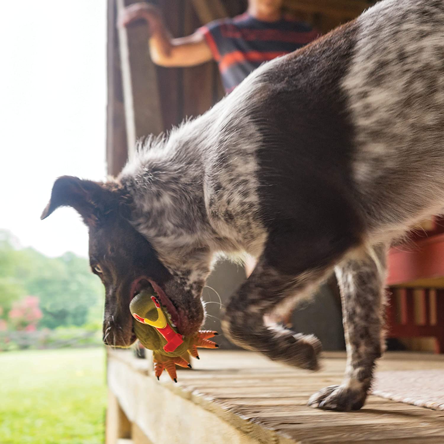 Petsafe Squeaky Turkey Dog Toy - Interactive Chew Toy with Sound for Small & Large Dogs - Perfect for Playtime, Training & Anxiety Relief