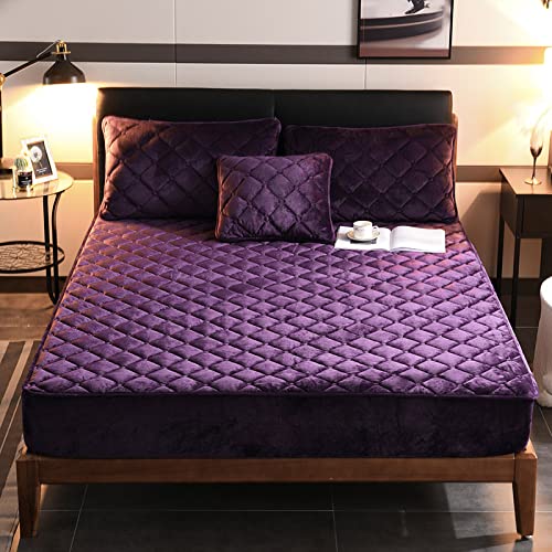 Dark Purple