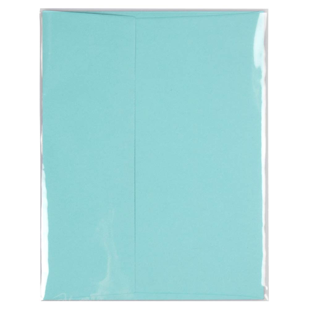 JAM PAPER Clear A2 Cello Sleeves 4 5/8