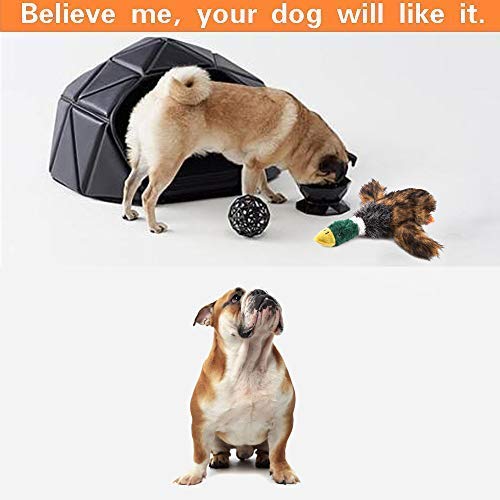 LUKACY Large Duck Dog Chew Toys - Squeaky Mallard Bird Dog Toy for Big Dogs, Durable & Safe Pet Chewing Toy (Green) - Perfect for Fetch, Training & Interactive Playtime