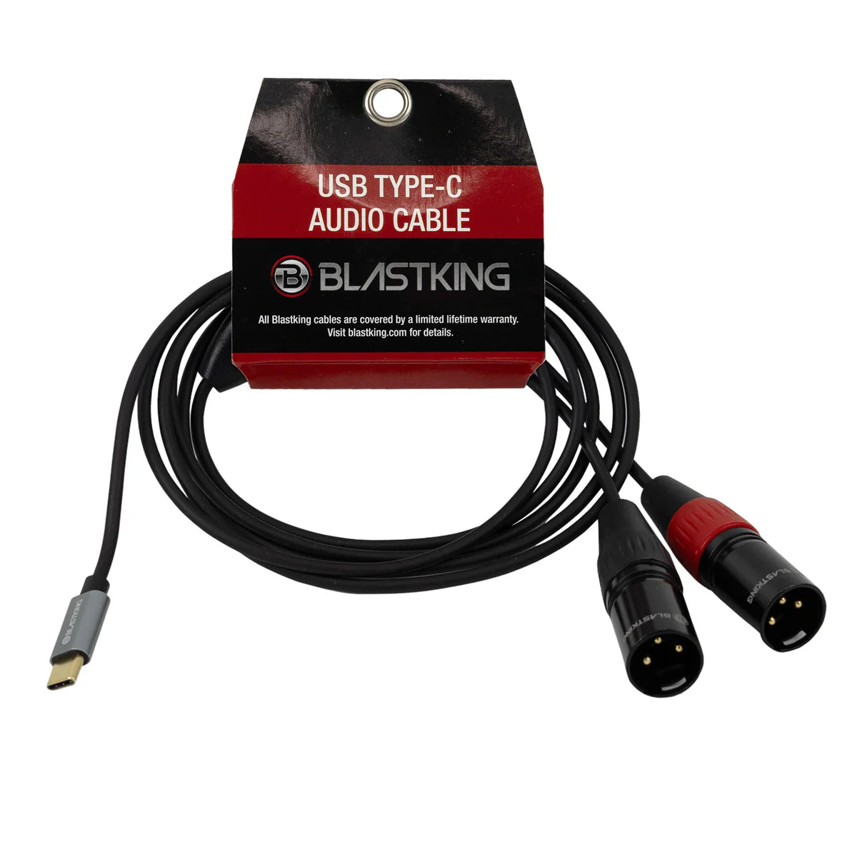 Blastking C2XLRTC 6 USB C to Dual XLR Male Audio Cable - 6ft (1.82m) for Professional Studio Recording & Live Performances - Perfect for DJs, Musicians & Audio Engineers
