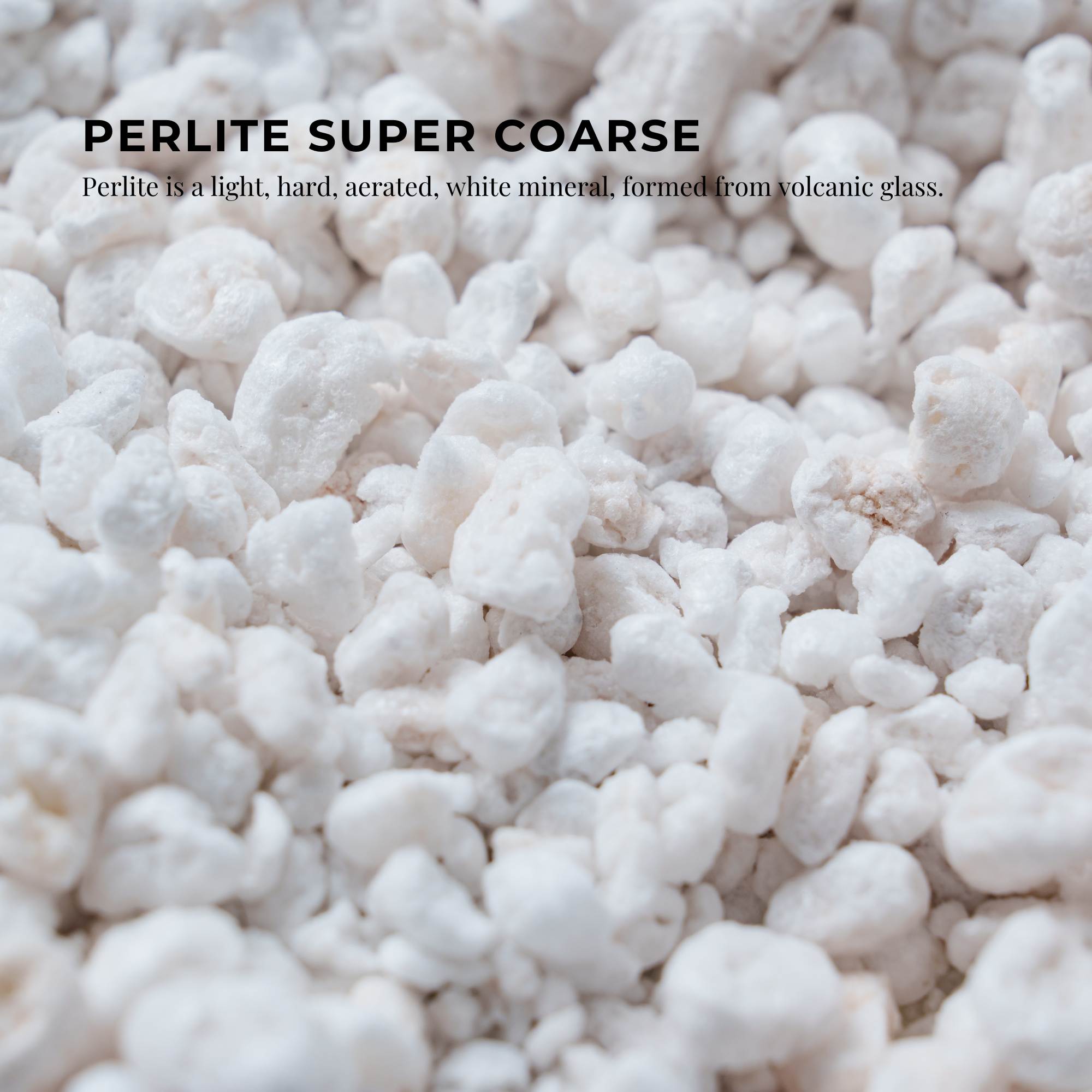 100L Organic Perlite Super Coarse Premium Soil Amendment - Expanded Growing Medium for Hydroponics, Container Gardening & Seed Starting (Improves Aeration & Drainage)