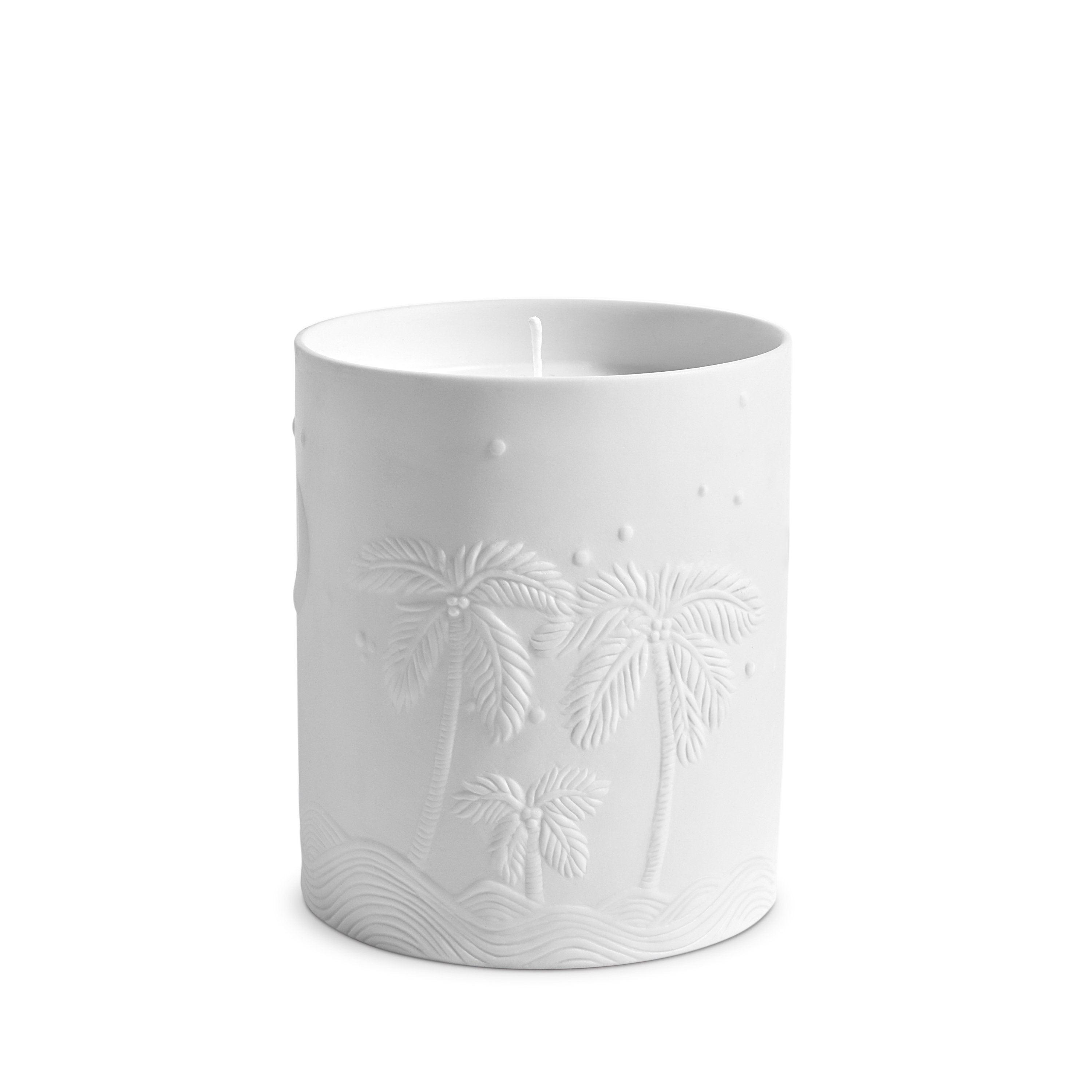 Haas Mojave Palm Candle - Natural Soy Wax Scented Candle for Home & Relaxation | Perfect for Aromatherapy, Meditation, and Cozy Evenings