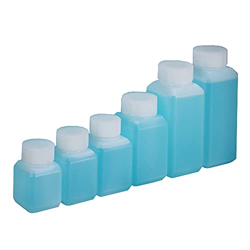 RAYNAG 6-Pack Clear Plastic Travel Bottles with Screw Caps - Leak-Proof Refillable Toiletry Containers for Shampoo, Conditioner & Body Lotion | TSA Approved Mini Storage Bottles for Vacation, Gym & Camping Essentials