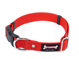 Smoochy Poochy Quick Release Dog Collar with Polyvinyl Clip - Adjustable & Durable Pet Collars for Small Medium Large Dogs - Perfect for Walking, Training & Outdoor Adventures (Multiple Colors)