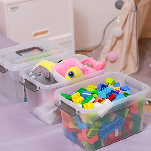 Clear case with grey handle