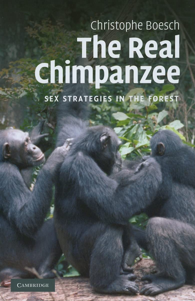 The Real Chimpanzee: Primate Mating Strategies in Tropical Forests - Perfect for Wildlife Documentaries & Animal Behavior Studies