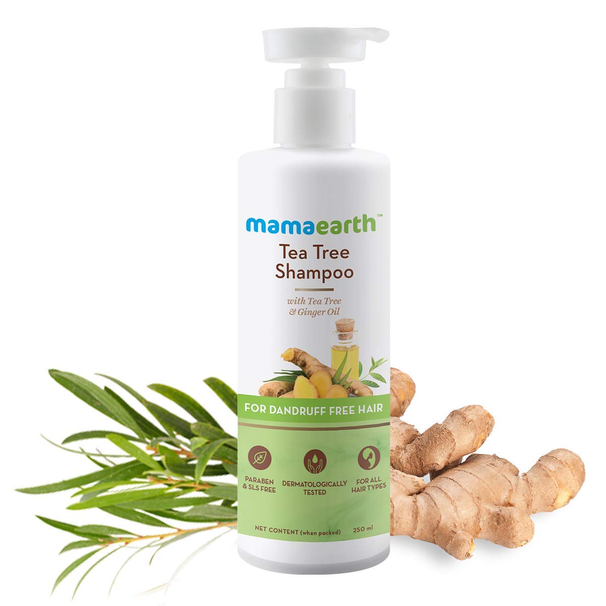 Mamaearth Tea Tree Anti Dandruff Shampoo with Tea Tree & Ginger Oil - 250ml | Soothes Scalp & Controls Flakes for Healthy Hair | Perfect for Daily Use & Sensitive Scalp Care