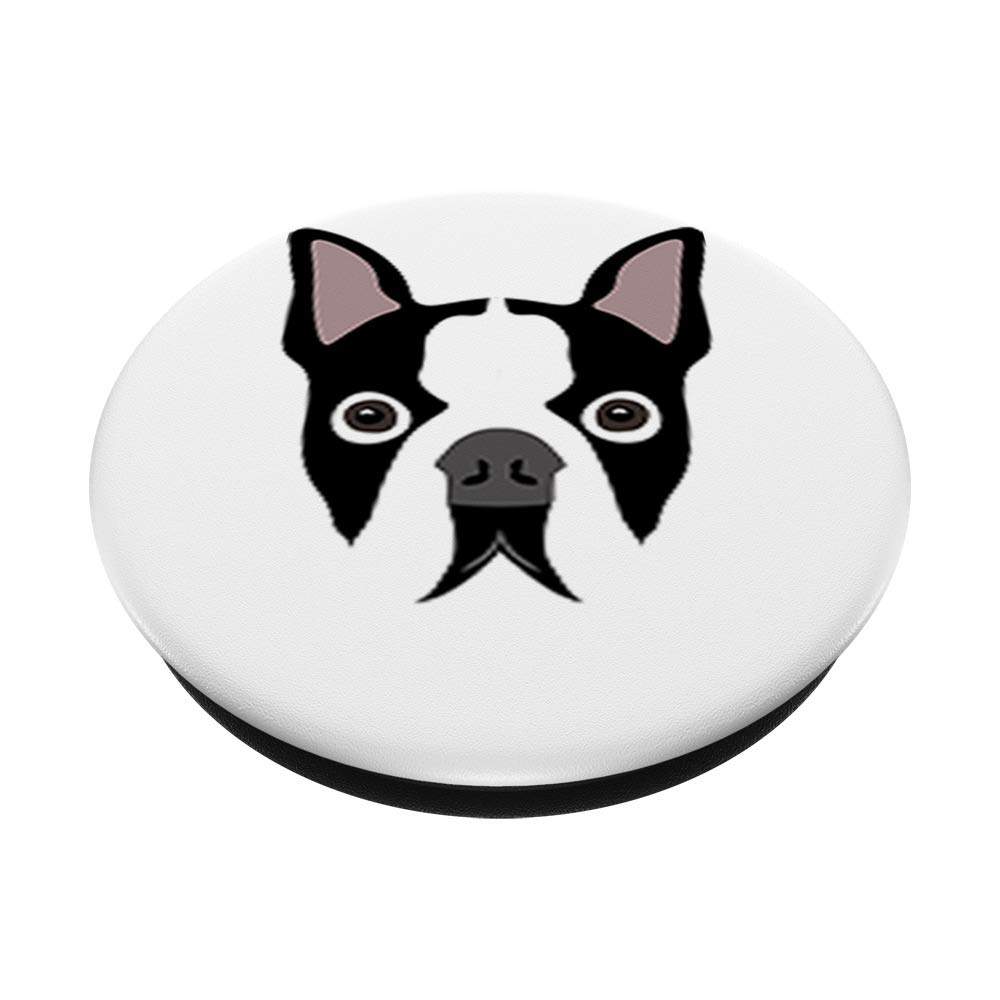 Boston Terrier Dog - Adorable Small Breed Puppy for Families & Apartment Living | Perfect Companion Pet for Home, Walks & Cuddles