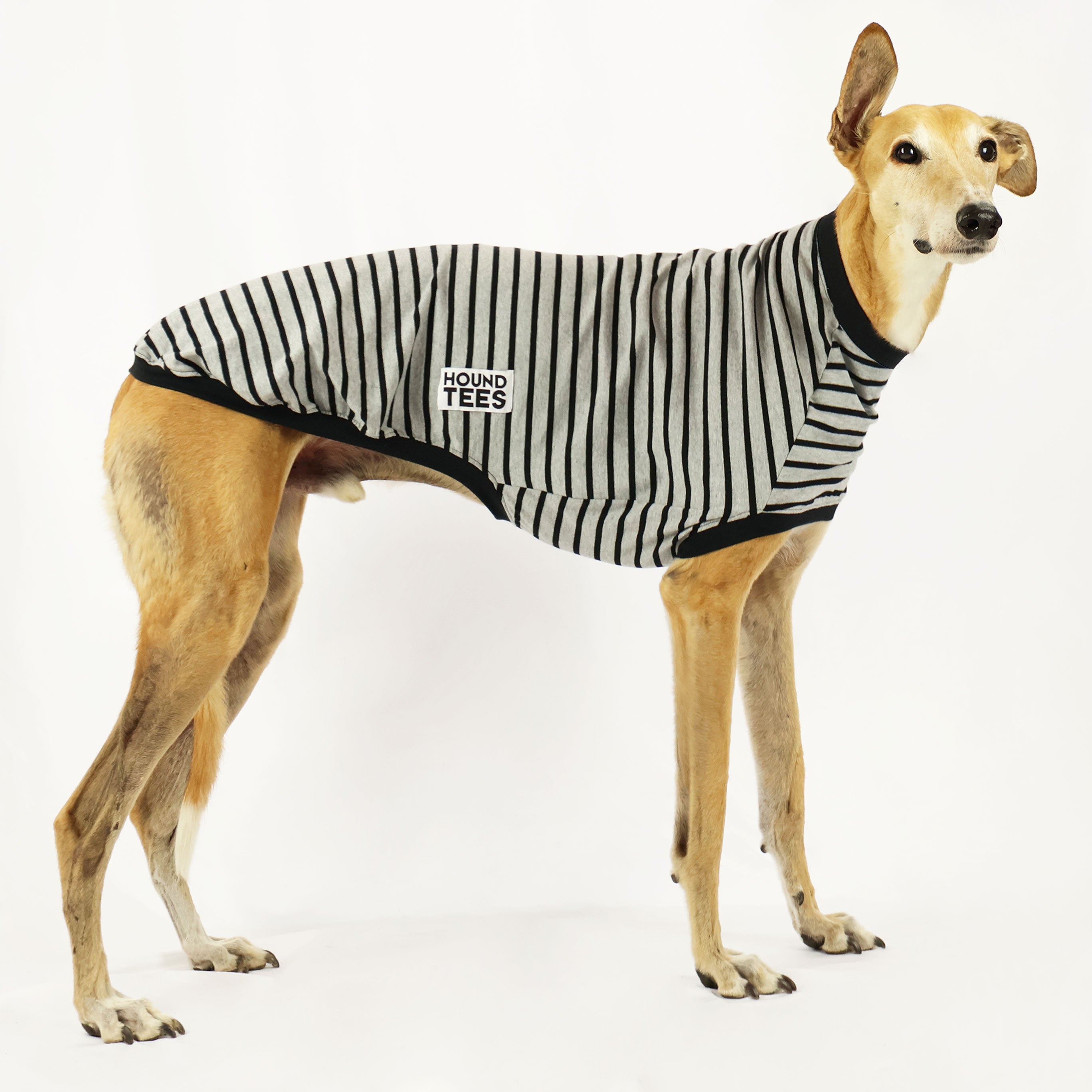 Trendy Baddie Greyhound Sleeveless Graphic Tee - Cool Dog Lover Shirt for Women | Perfect for Casual Wear, Street Style & Summer Outfits