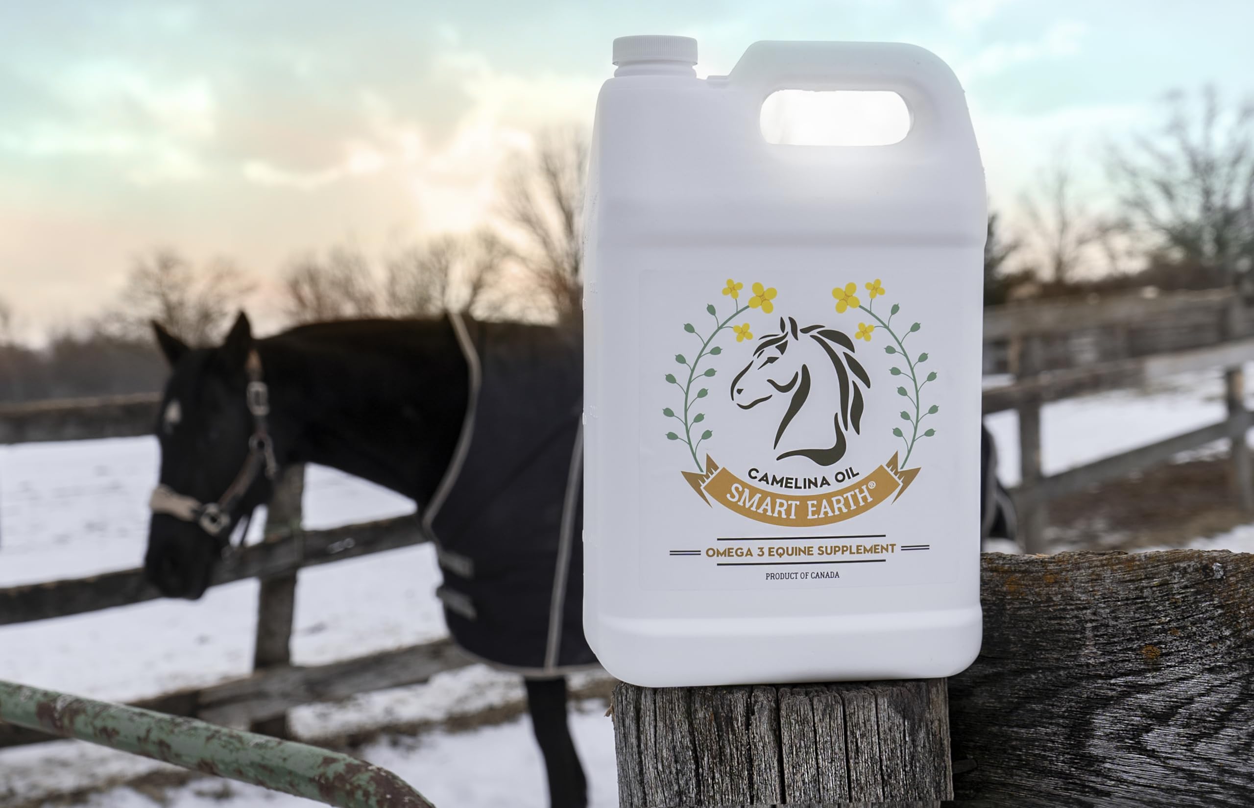 100% Pure Camelina Oil for Horses - Omega 3 & Vitamin E Rich Supplement for Healthy Coat, Strong Hooves, Joint Support & Weight Gain - Cold-Pressed False Flaxseed Oil with Pump - Made in Canada by Smart Earth - 1 Gallon - Perfect for Daily Equine Nutrition & Senior Horse Care