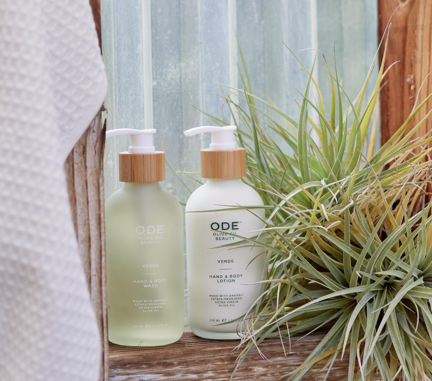 Organic EVOO Unscented Hand & Body Lotion 2-Pack by McEvoy Ranch | ODE Olive Oil Beauty | California Made | Daily Hydration for Dry Skin & Sensitive Skin Care | Perfect for Home, Office & Travel Use