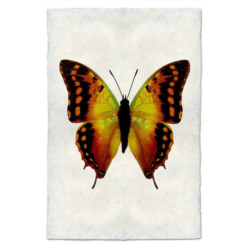 Butterfly #4 Wall Art Print - Vibrant Floral Butterfly Painting for Home & Office Decor - Perfect for Living Room, Bedroom, or Gift