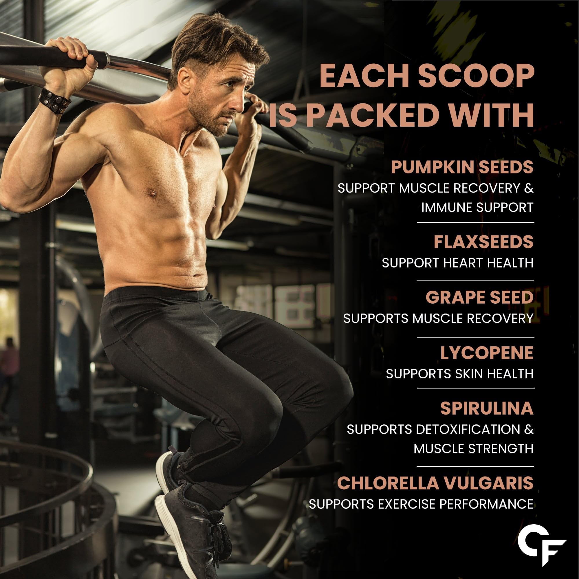 Carbamide Forte Plant Protein Powder - Vegan Protein Powder with Multivitamins, Minerals, Superfoods, Pea Protein & Digestive Enzymes | Belgian Chocolate Flavor (500g) for Muscle Recovery & Healthy Lifestyle