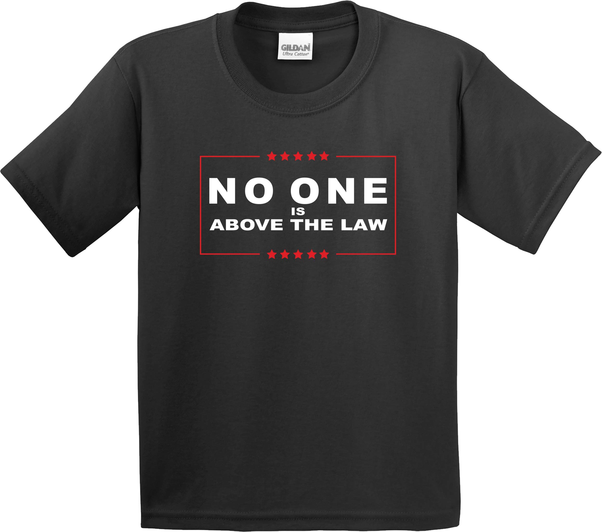 Impeachment Inquiry Logo T-Shirt - Political Statement Tee - American Flag Design - Protest & Rally Apparel - Patriotic Gift Idea