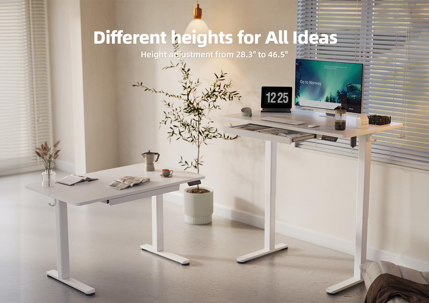 YDN 55 x 24 Inch Electric Standing Desk with Drawers - Adjustable Height Sit Stand Workstation for Home Office (White) | Ergonomic Computer Desk for Remote Work & Study
