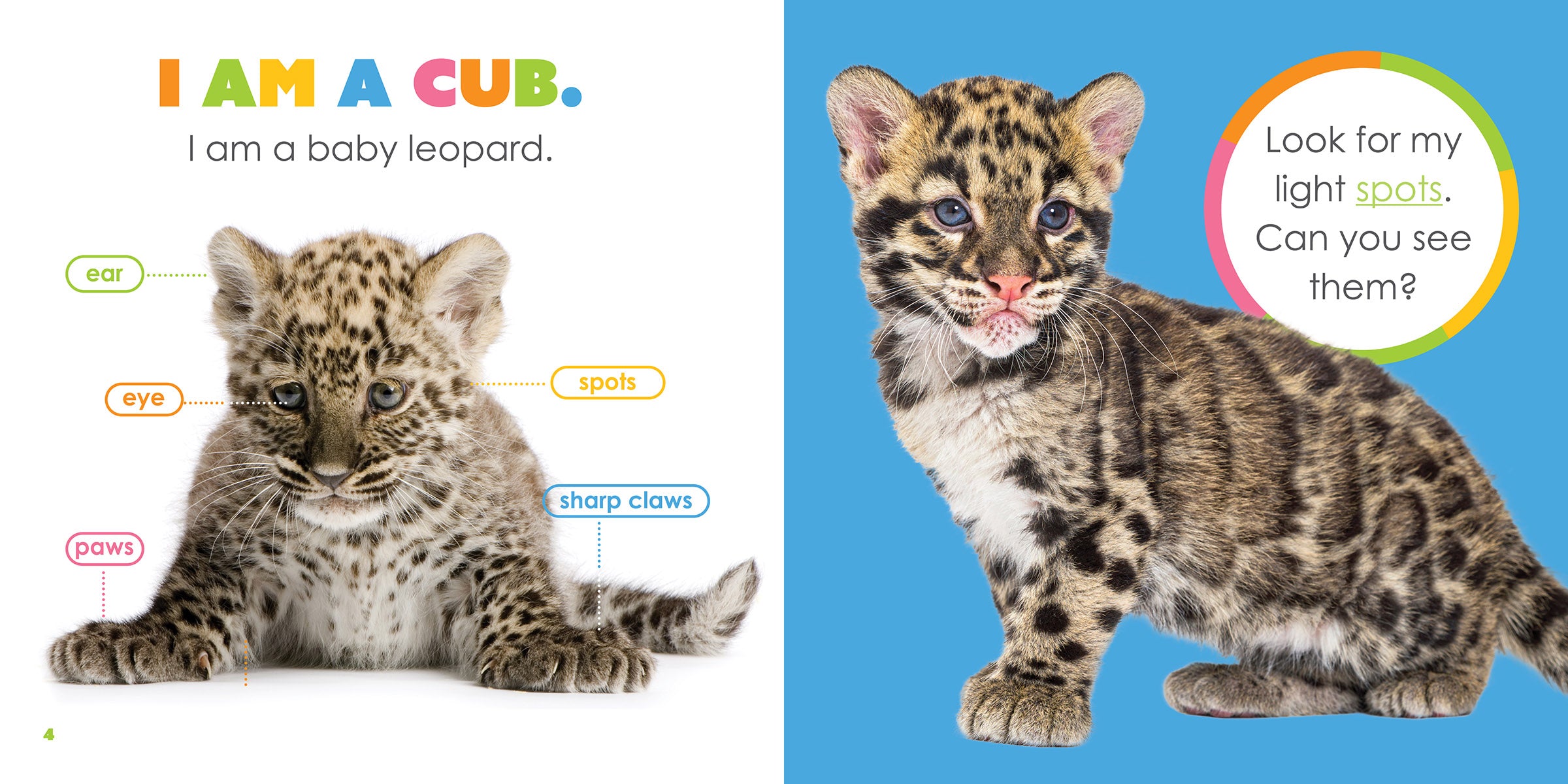 Baby Leopard Print Clothing & Accessories for Newborns & Toddlers - Perfect for Photo Shoots, Nursery Decor & Baby Showers