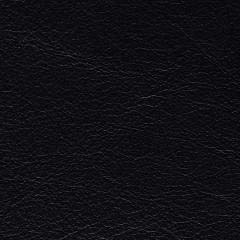 Black Leather