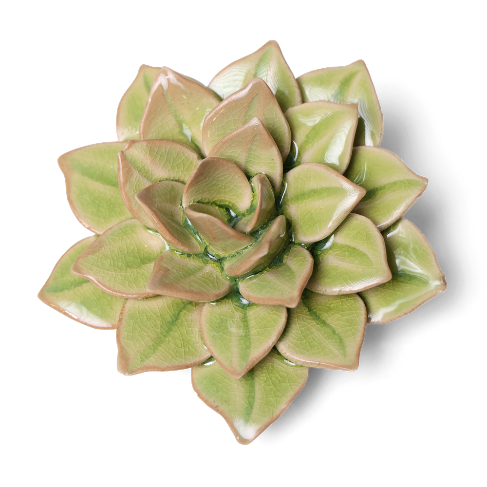English Garden Ceramic Flower Pot - Medium Size Green Planter for Succulents, Herbs & Small Plants - Perfect for Home Decor, Office Desk & Indoor Gardening