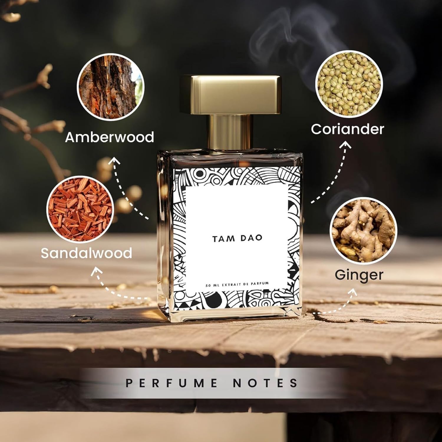MG Perfume Tam Dao for Men - Long Lasting Woody & Amber Fragrance with Sandalwood, Lime & Aromatic Notes - 50ml (1.69 fl oz) Eau de Parfum | Perfect for Daily Wear, Office & Special Occasions