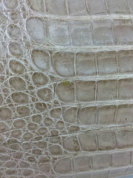 Nancy Gonzalez Genuine Crocodile Leather Large Tote Bag for Women - Luxury Designer Handbag for Work, Travel & Everyday Use
