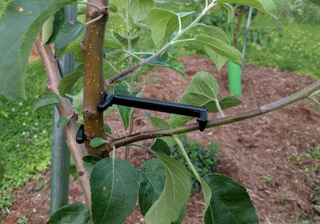 Premium Fruit Tree Limb Spreader - Strengthen Apple & Fruit Tree Branches | 25-Pack | German-Made | Perfect for Orchard Training & Home Garden Pruning