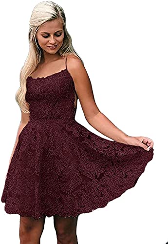 Lilyla Women's Short Lace Homecoming Dress with Spaghetti Straps - A-Line Party Gown for Prom, Cocktail, Wedding Guest & Formal Events