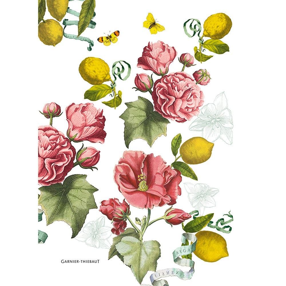 Premium Citrons De Menton French Lemon Print Kitchen Towels - Absorbent & Decorative Dish Cloths for Cooking, Baking & Kitchen Decor