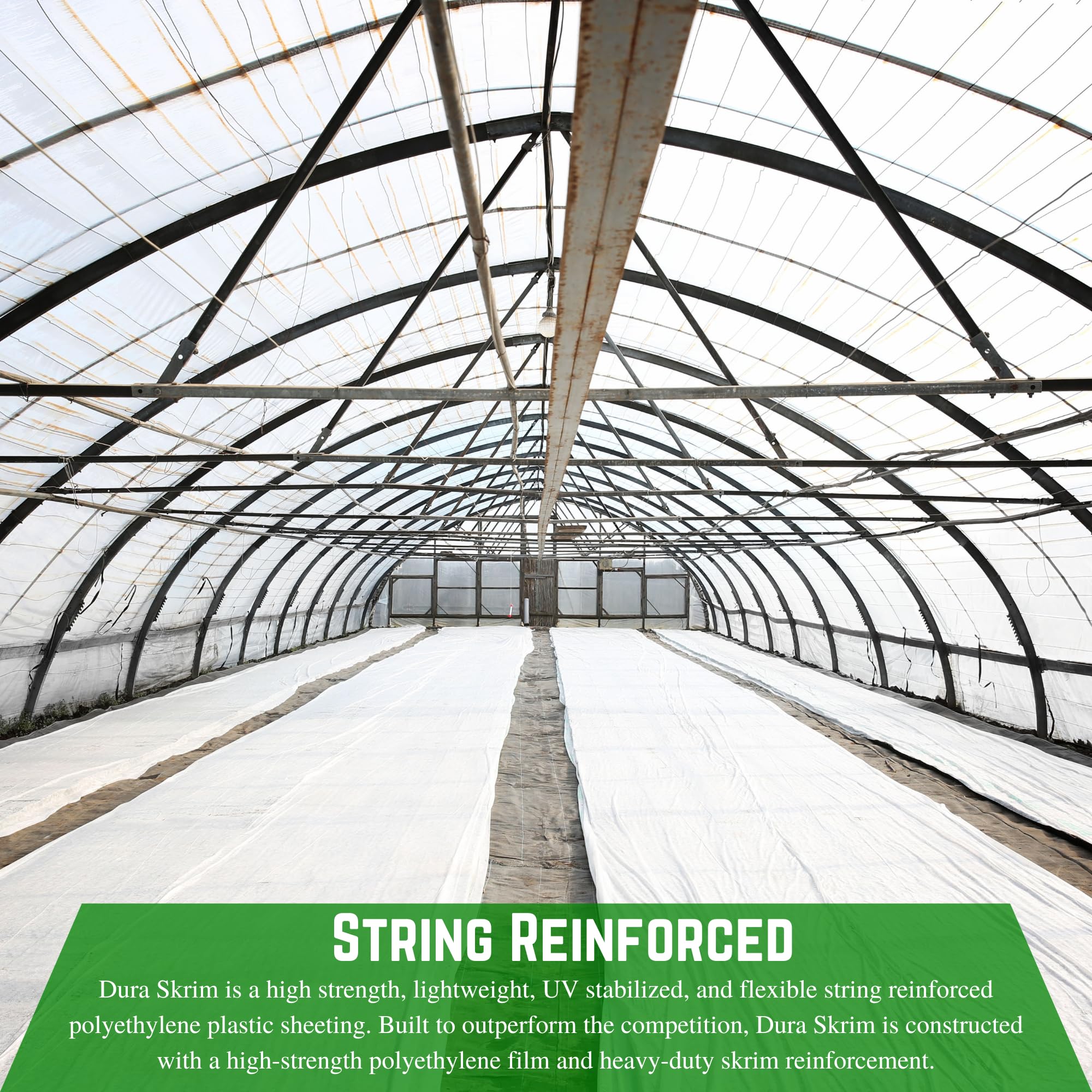 **6 Mil White Reinforced Plastic Sheeting - Heavy Duty Greenhouse Film, Overwintering Cover, Durable Farm & Garden Protection (10' x 100') - Ideal for Crop Protection, Greenhouse Roofing & Winter Plant Shelter**