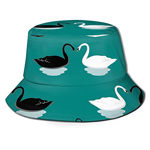 Swan_a03