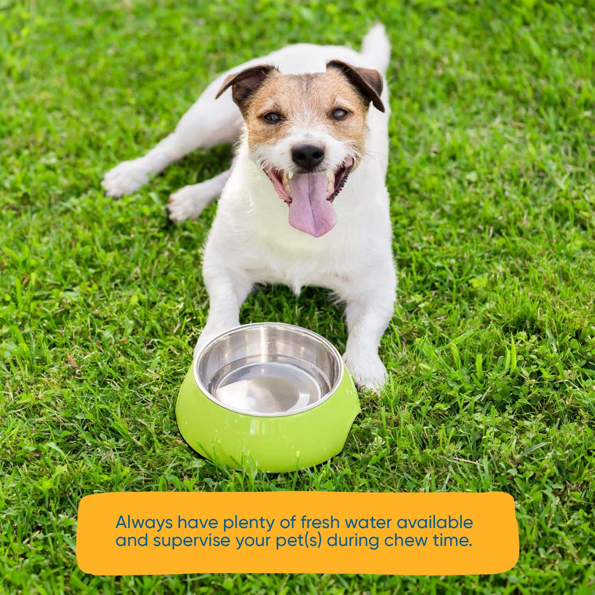 Premium Grass-Fed Beef Knee Caps for Dogs – 30 Count Natural Protein-Packed Knee Bone Treats | Easily Digestible Dog Chews for Dental Health & Joint Support | Perfect for Training, Rewards, and Long-Lasting Chewing