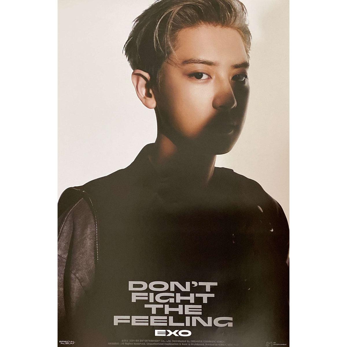 EXO SPECIAL ALBUM 'DON'T FIGHT THE FEELING' (Jewel Case Ver.) - K-Pop Poster Only - Perfect for K-Pop Fans, Room Decor & Gift for EXO-L Collectors