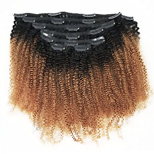 T(#1B/30) Afro Curly Clip In Hair