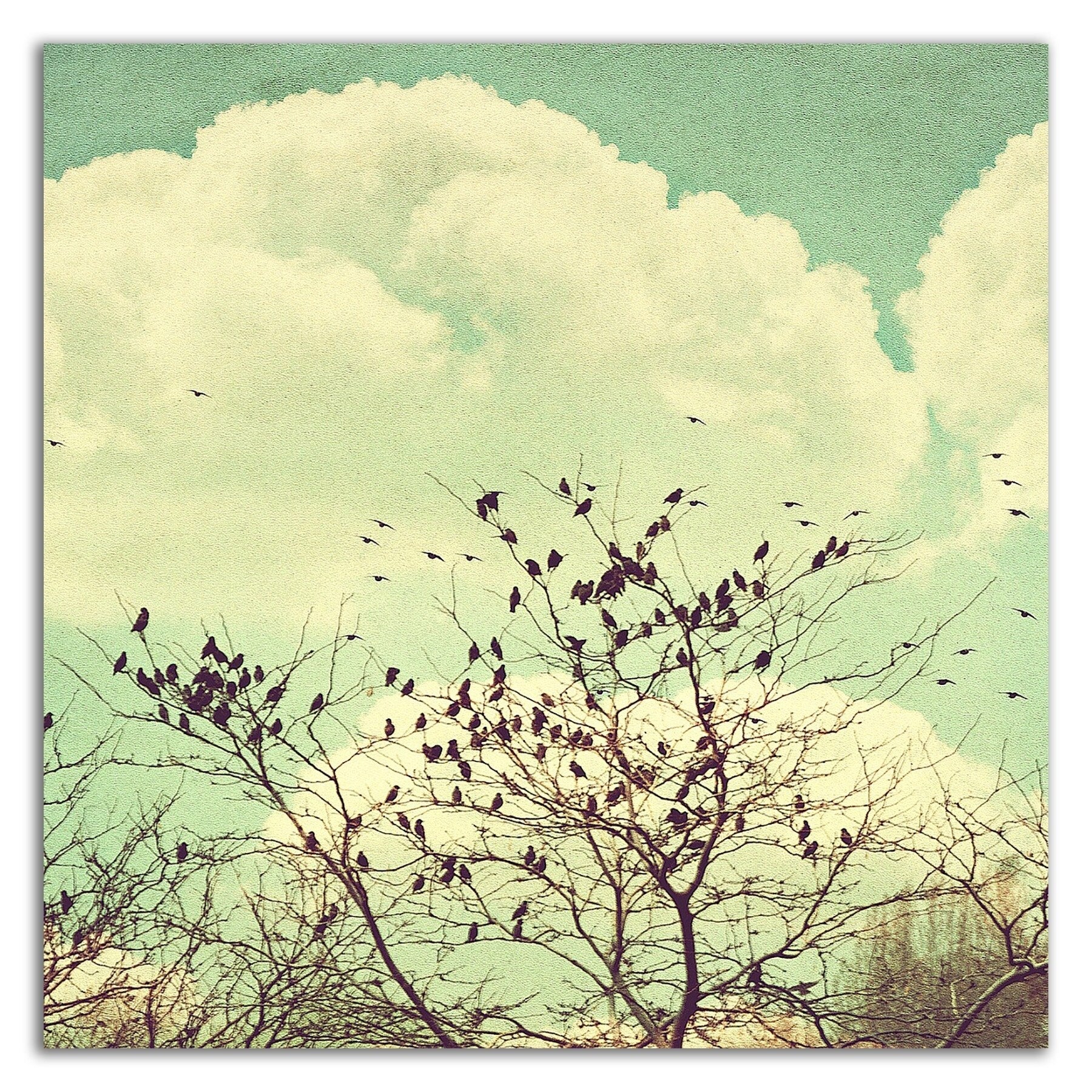 Birds of a Feather by Sylvia Coomes - Premium Canvas Wall Art Print - Ready to Hang - Perfect for Living Room, Bedroom & Office Decor