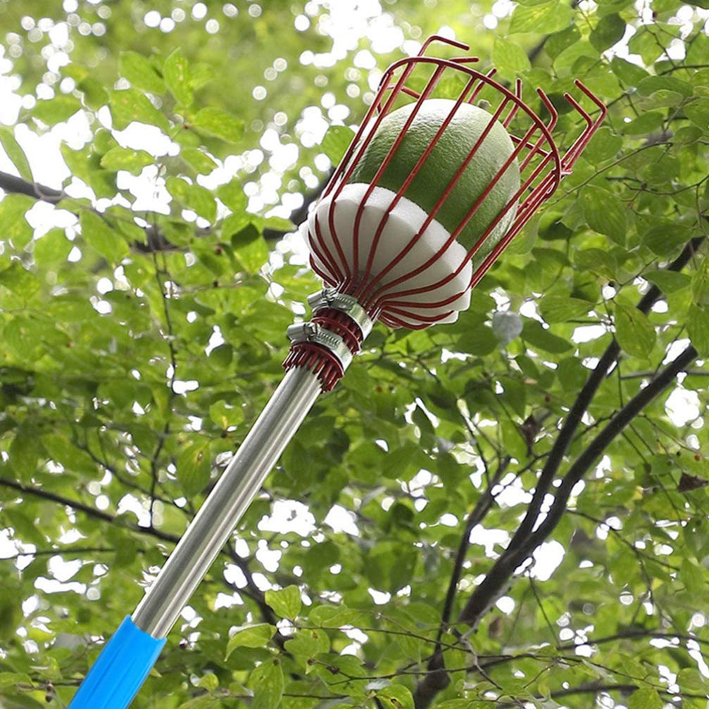 Hemoton 1 Set Fruit Picking Tool - Long Handle Fruit Harvester with Basket for Apple, Pear, Peach Picking - Perfect for Orchard, Garden, and Backyard Harvesting