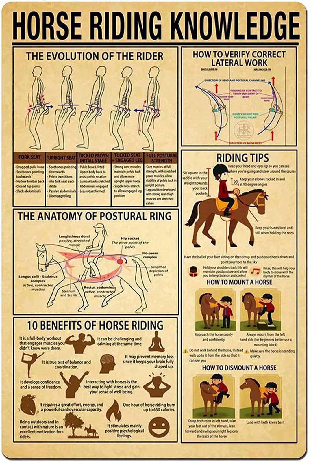 Vintage Metal Tin Sign - Retro Horse Riding Knowledge & Coffee Bar Decor - 12x17 Inch Wall Art for Cafe, Kitchen, or Man Cave - Perfect for Home, Office & Restaurant Décor