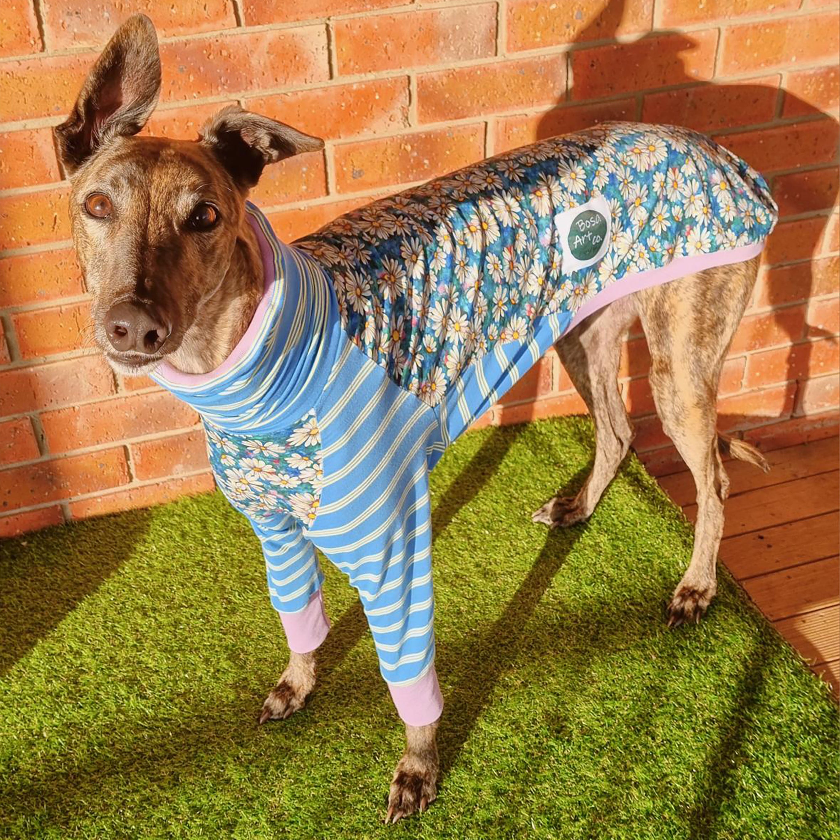 Whoopsie Daisy Whippet Long Sleeve Hound T-Shirt | Cute Dog Lover Apparel for Women & Men | Perfect for Casual Wear, Dog Walks & Pet Owner Gifts