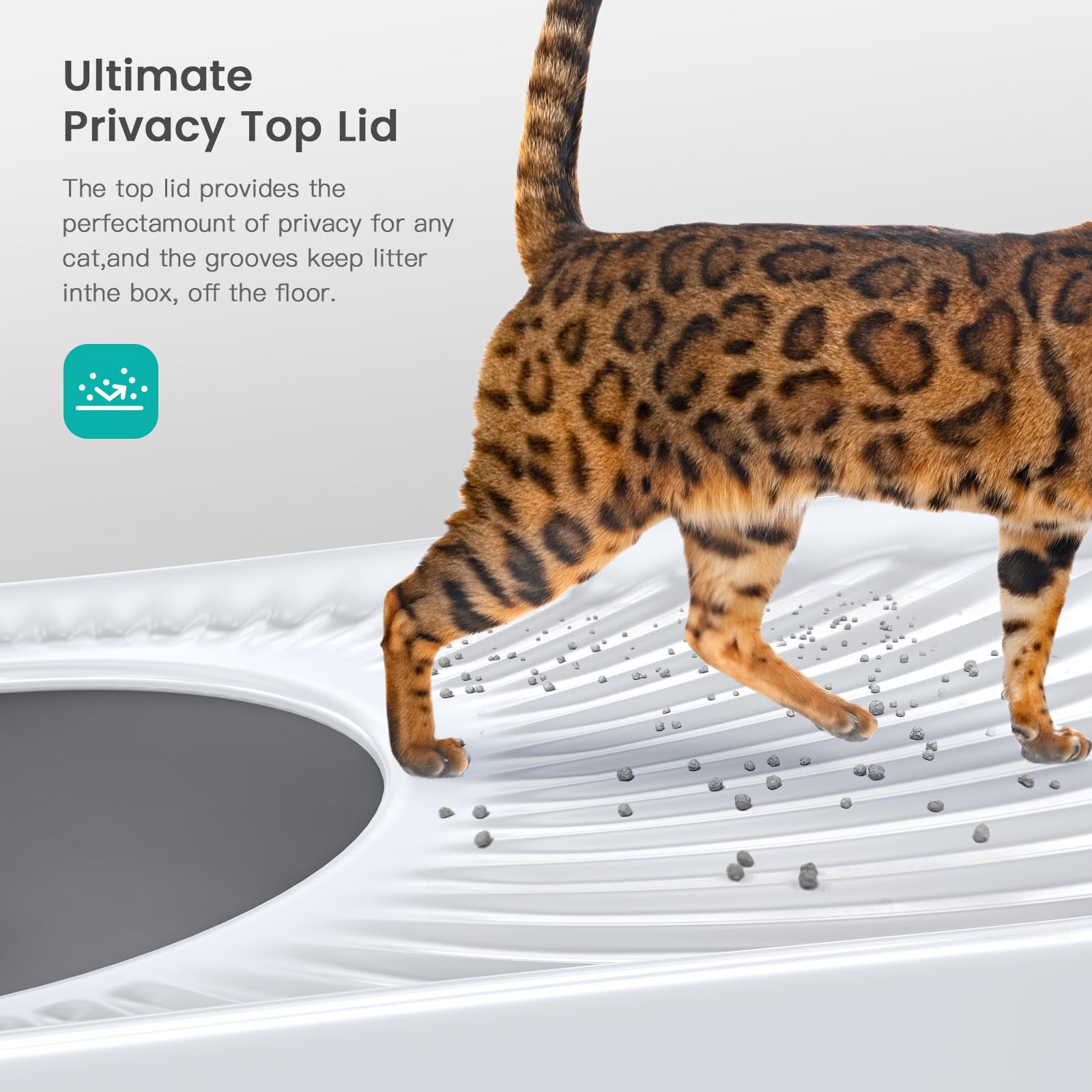 Premium Stainless Steel Cat Litter Box with Lid - Large Top Entry Enclosed Litter Pan for Big Cats | Odor-Proof & Easy to Clean Metal Kitty Litter Box | Includes Scoop | Perfect for Home, Apartment & Multi-Cat Households