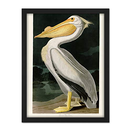 Framed Black 18X24