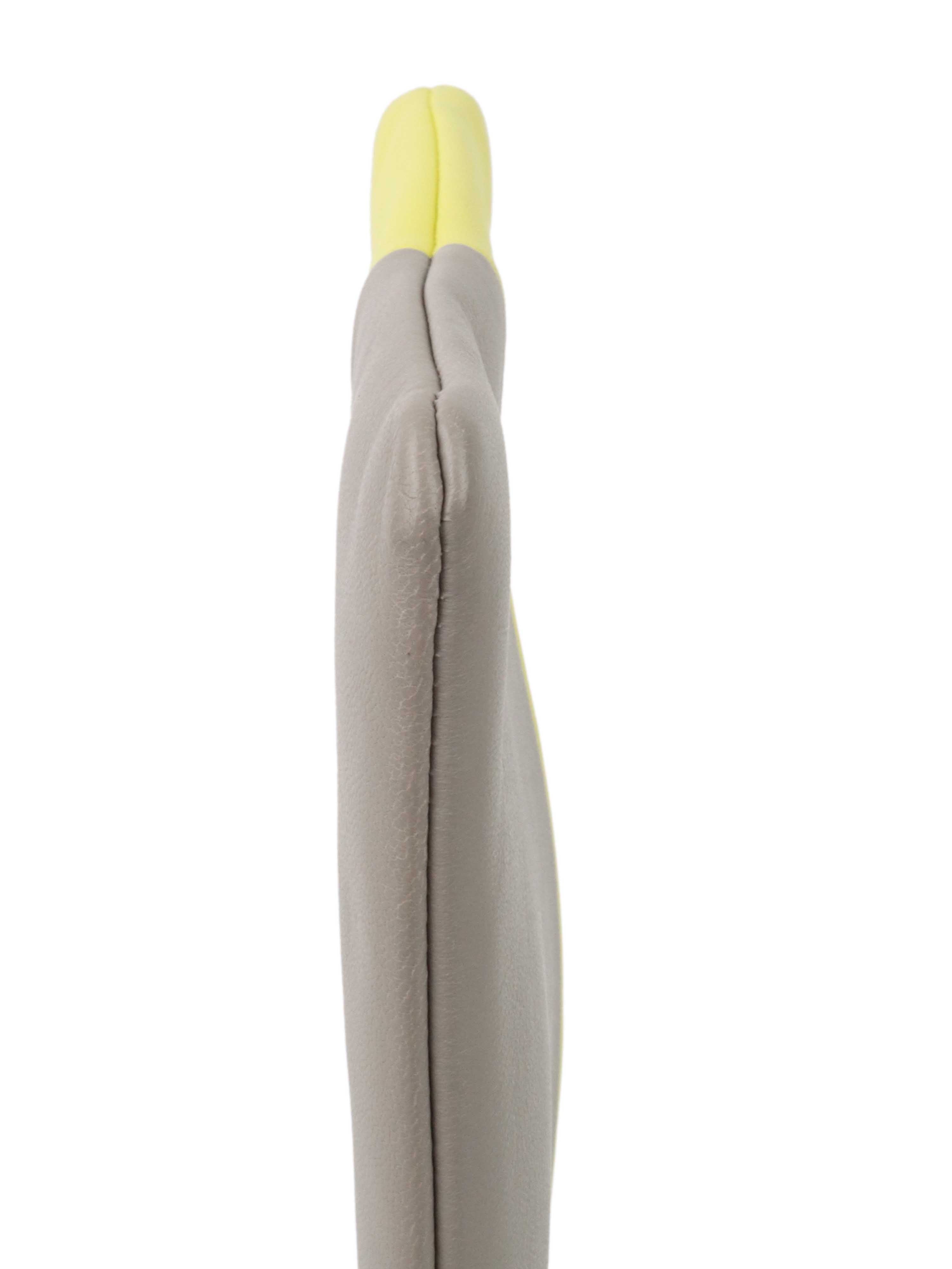 Celine Pouch Handbag in Yellow & Grey - Stylish Crossbody Bag for Women | Perfect for Work, Travel & Evening Out