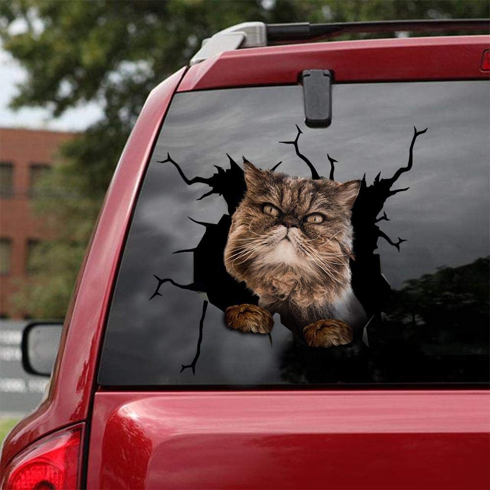 Persian Cat Car Decals - Pack of 2 Large 12