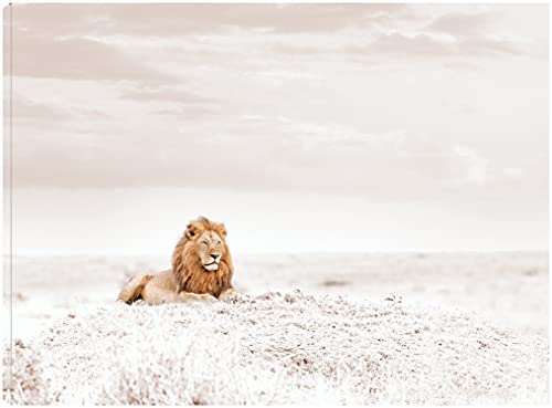 Observing Lion