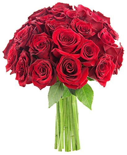 Red Rose