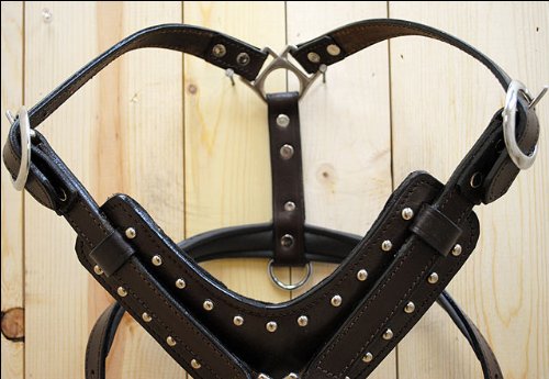 HILASON Genuine Leather Dog Harness & Leash Set - Brown Small | Adjustable & Durable for Small Dogs | Perfect for Walking, Training & Outdoor Adventures