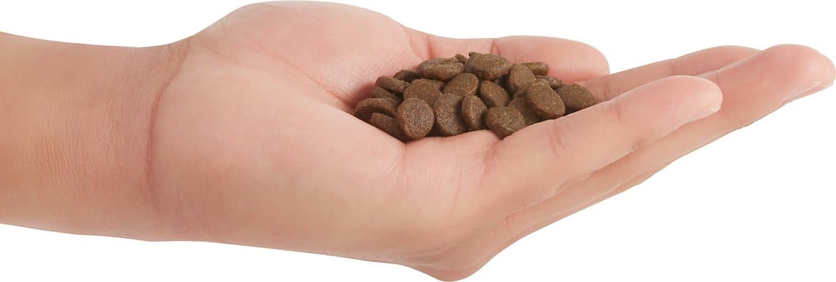 ACANA Wild Atlantic Grain Free Dry Cat Food - High Protein, Natural Ingredients for Adult Cats - Perfect for Indoor & Outdoor Cats, Supports Healthy Skin & Coat