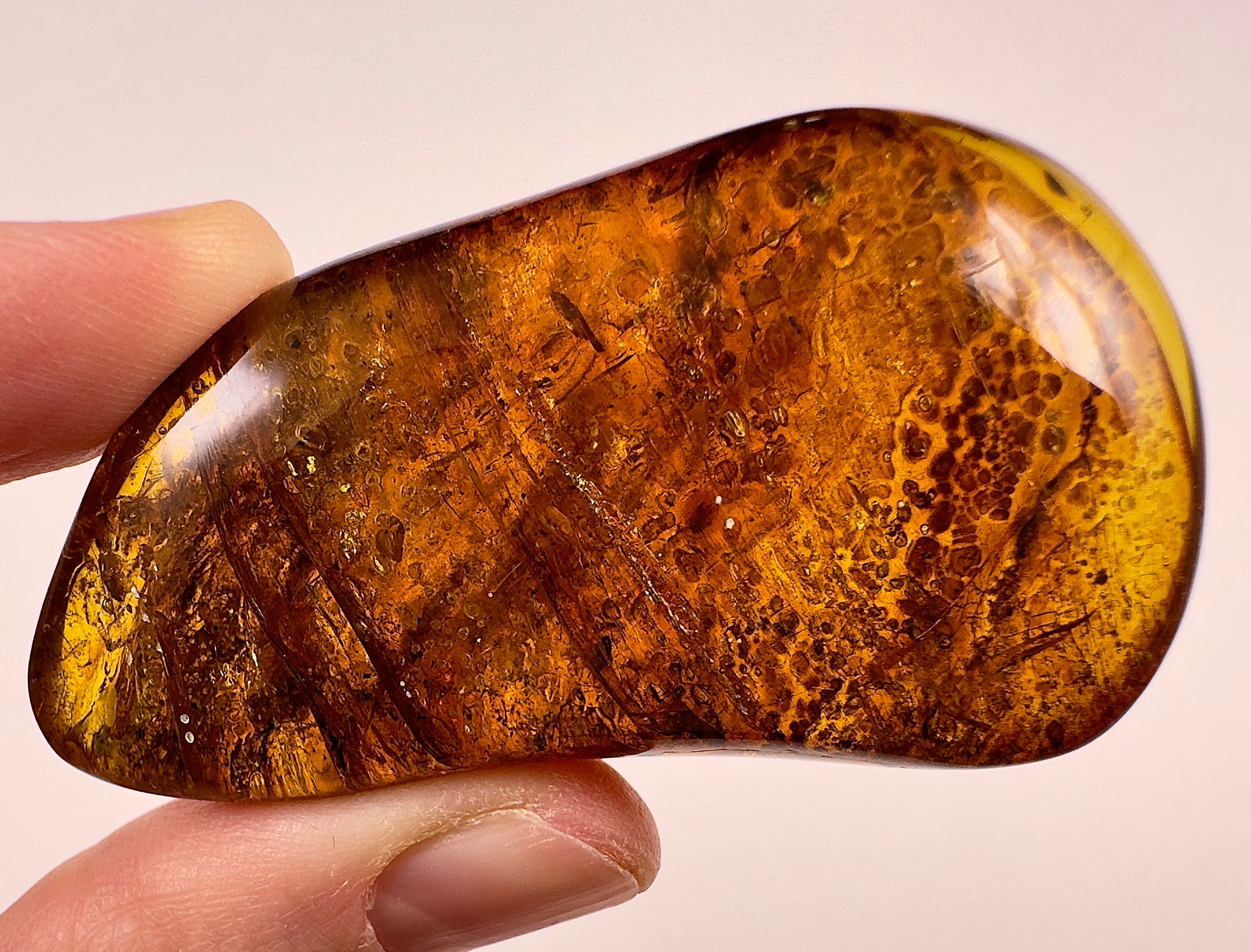 AMBER Stone with Real Insect Fossil - Polished Tumbled Stones & Healing Crystals for Jewelry Making, Meditation & Home Decor (52725)
