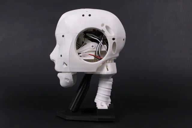EZ InMoov Robot Head Kit - DIY Humanoid Robot Head for STEM Education & Robotics Projects - Perfect for Makers, Hobbyists & Schools